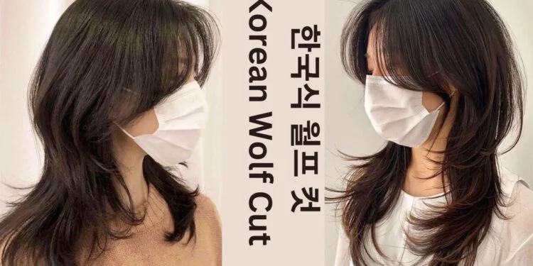 Korean Wolf Cut World Magazino